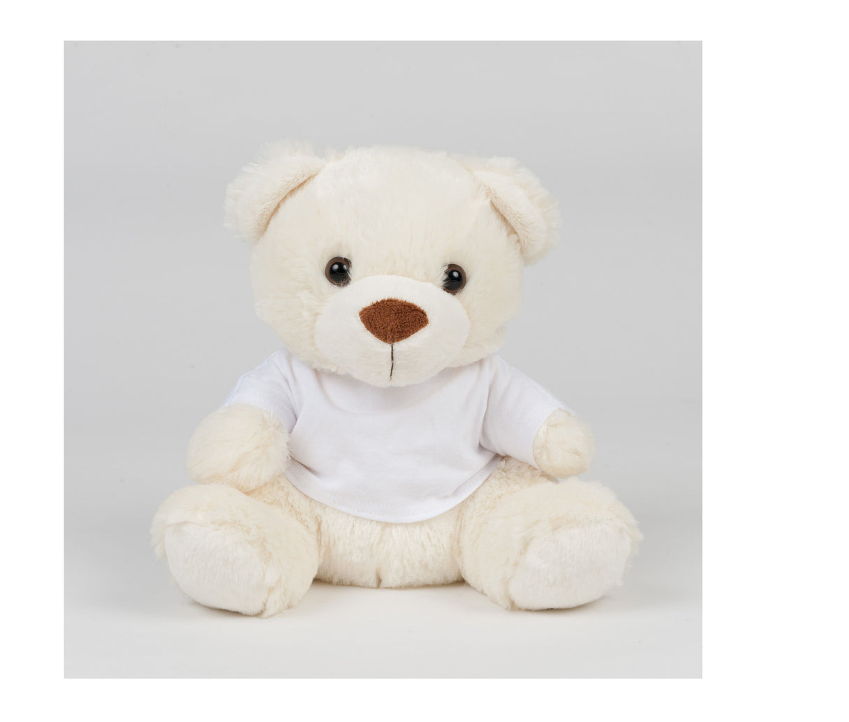 MUMBLES BEAR IN A T SHIRT