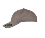 FLEXFIT FLEXFIT 110 CURVED VISOR SNAPBACK