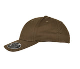 FLEXFIT FLEXFIT 110 CURVED VISOR SNAPBACK