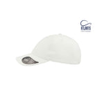 Dad Cap