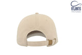Dad Cap