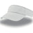 ROLAND VISOR