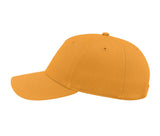 ATLANTIS HEADWEAR SHOT-S