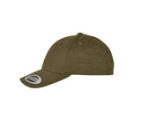 FLEXFIT CURVED CLASSIC SNAPBACK CAP