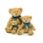 BRACKEN BEAR