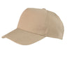RESULT BOSTON 5-PANEL PRINTERS CAP