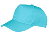 RESULT BOSTON 5-PANEL PRINTERS CAP