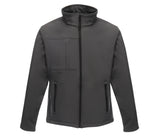 REGATTA OCTAGON II