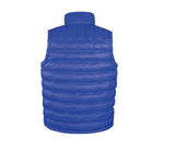 RESULT ICE BIRD PADDED GILET